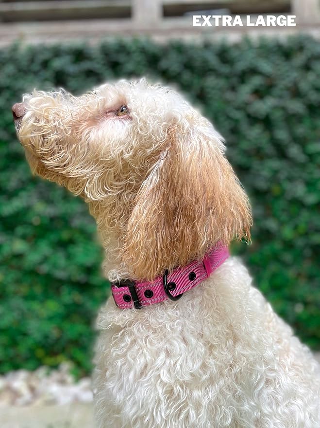 Tuff Pupper Heavy Duty Dog Collar with Handle | Ballistic Nylon Heavy Duty Collar | Padded Reflective Dog Collar with Adjustable Stainless Steel Hardware | Convenient Sizing for All Breeds