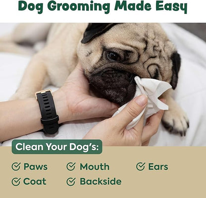 Bark & Clean 440 Dog Wipes for Cleaning and Deodorizing - 4 Pack of 110 8.5" x 9" Bamboo Pet Wipes - Compostable, Hypoallergenic Puppy Wipes - Dog Wipes for Paws, Butt, and Body