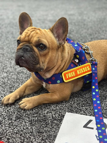 BULLHUG Adjustable Dog Harness– No Pull, No Choke – for English Bulldogs, French Bulldogs, Pugs & Broad-Chested Breeds – Easy, Safe Walks (Polka Dots, Large)