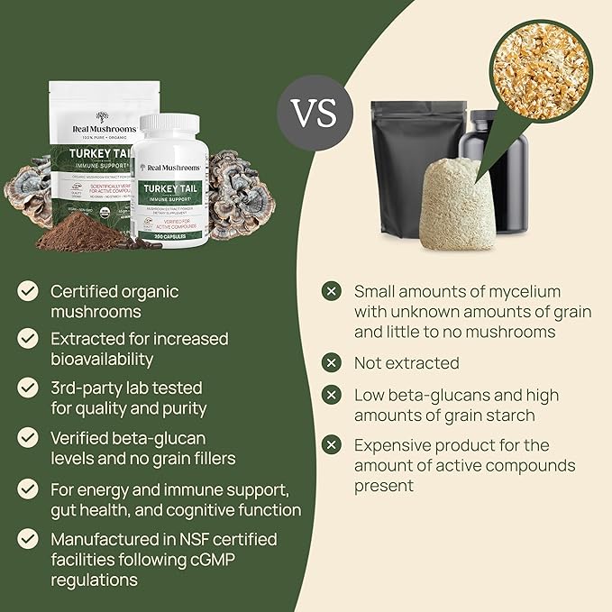 Real Mushrooms Turkey Tail Mushroom Powder – Organic Turkey Tail Extract from – for Wellness, Gut Harmony, & Energy Support – Vegan, Non-GMO, No Fillers – 100 Servings Functional Mushroom Supplement