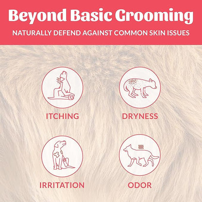Skout’s Honor Probiotic Natural Dog Shampoo and Conditioner with Avocado Oil & Omega-3s, Gentle Puppy Shampoo, Hydrating Dog Conditioner, 97% Natural, Paraben & Sulfate-Free, Cruelty-Free, 16 oz