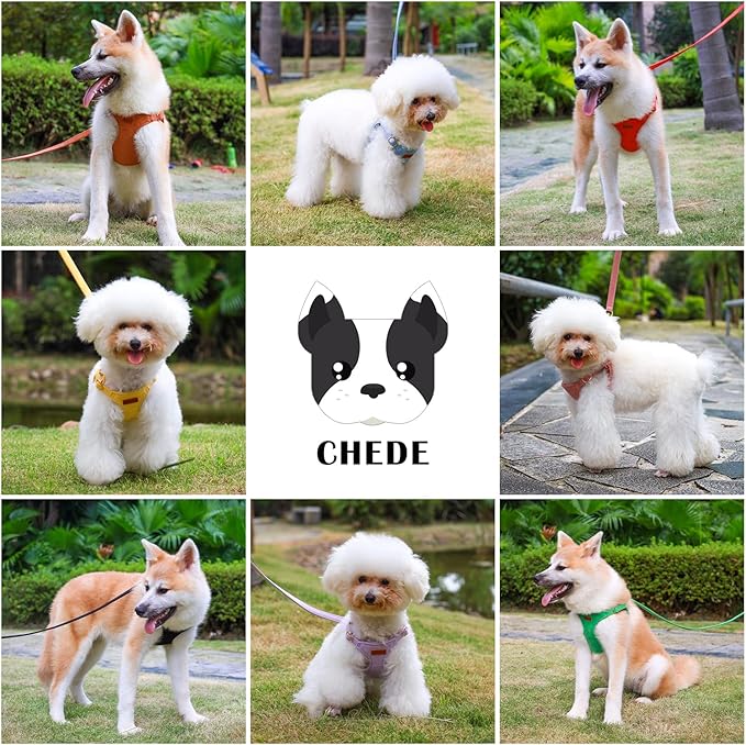 CHEDE No Pull Puppy Harness and Multifunction Dog Leash Set- 8 Colors Soft Adjustable No Choke Escape Proof Cute,Lightweight Pet Vest Harness for Small and Medium Dog (XS, Red)