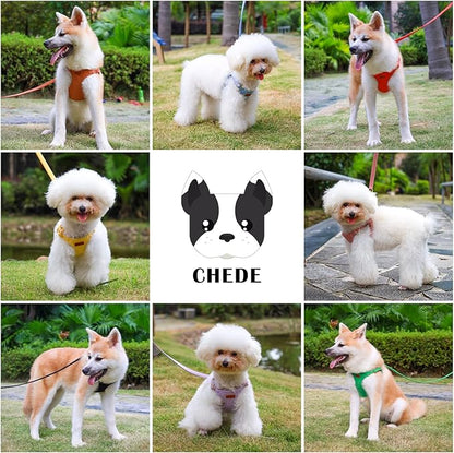 CHEDE No Pull Puppy Harness and Multifunction Dog Leash Set- 8 Colors Soft Adjustable No Choke Escape Proof Cute,Lightweight Pet Vest Harness for Small and Medium Dog (S, Antique Pink)