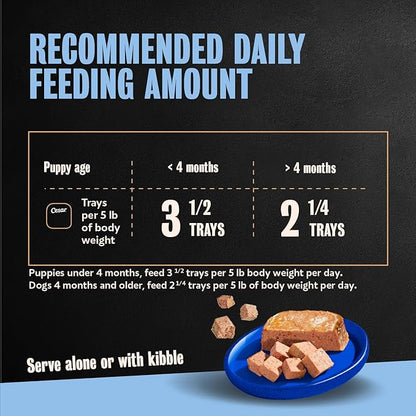 Cesar Puppy Classic Loaf in Sauce Wet Dog Food, Chicken & Beef Recipe, 3.5 oz. Easy Peel Trays, Dog Food Toppers, 24 Count