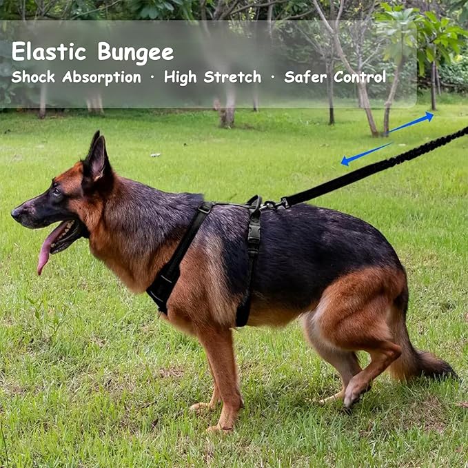 Bungee Dog Leash with Shock Absorption, Dual Handles for Pull Control, Reflective Nylon, Zinc Alloy Hook, D-Ring for Poop Bags, Black, M