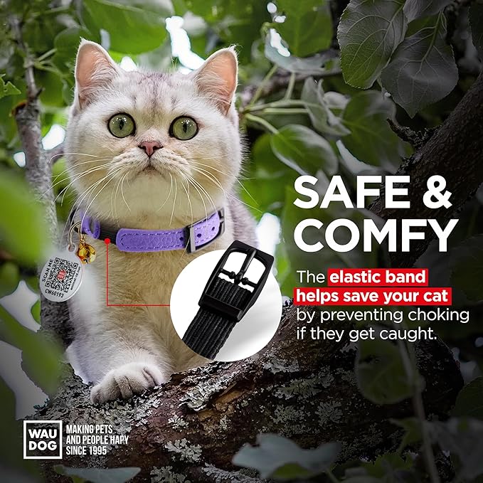 Leather Cat Collar with Bell and Safety Elastic Strap Breakaway Alternative for Small & Large Kittens, Stylish Pet Leather Collar for Boy, Girl Cats with Metal Buckle & QR ID Tag (Purple)