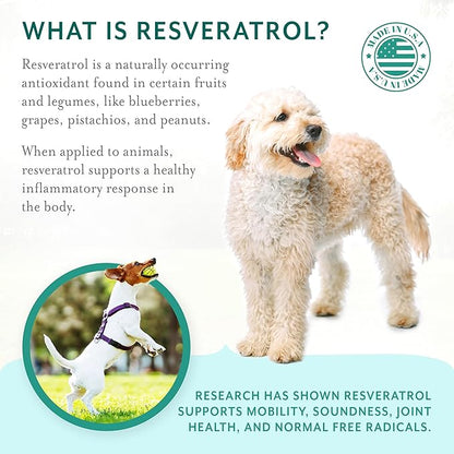 Dog Hip and Joint Support Supplement Soft Chews with Resveratrol, Glucosamine, Chondroitin, Hyaluronic Acid, Bacon Flavor, Small Breed