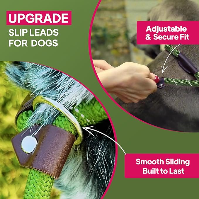 TwoEar 6FT Slip Lead Dog Leash, Heavy Duty Slip Leash for Dogs with Highly Reflective, Strong Rope Slip Leads No Pull Pet Training Leashes for Large Medium Dogs ( 1/2", Green )