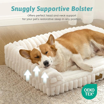 COZY KISS Cute Dog Bed for Medium Dogs, Faux Rabbit Fur Orthopedic Foam Dog Bed with Sides, Removable Washable Cover & Waterproof Lining, Comfortable Pet Couch, Cream (36" L x 27" W x 6.5" Th)