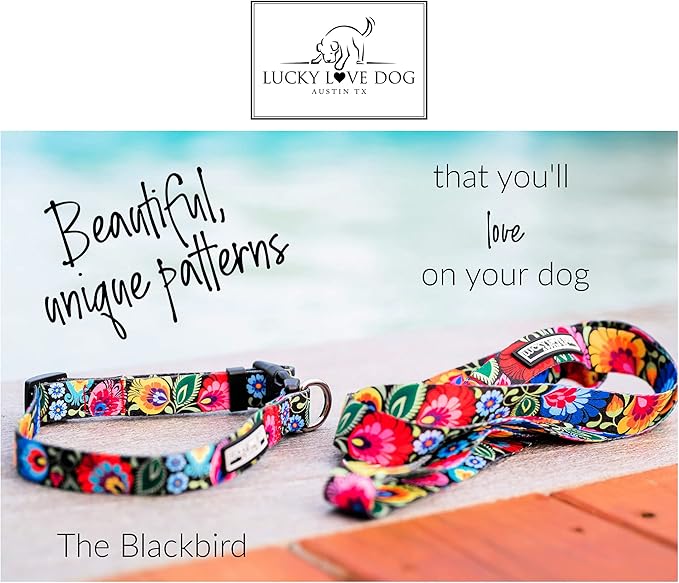 Lucky Love Dog - Adjustable Dog Collar with Easy Click Buckle for Small Dogs, Durable, & Comfortable for Male & Female Dogs, Pet Collar for Puppies & Adult Dogs - Blackbird, Small