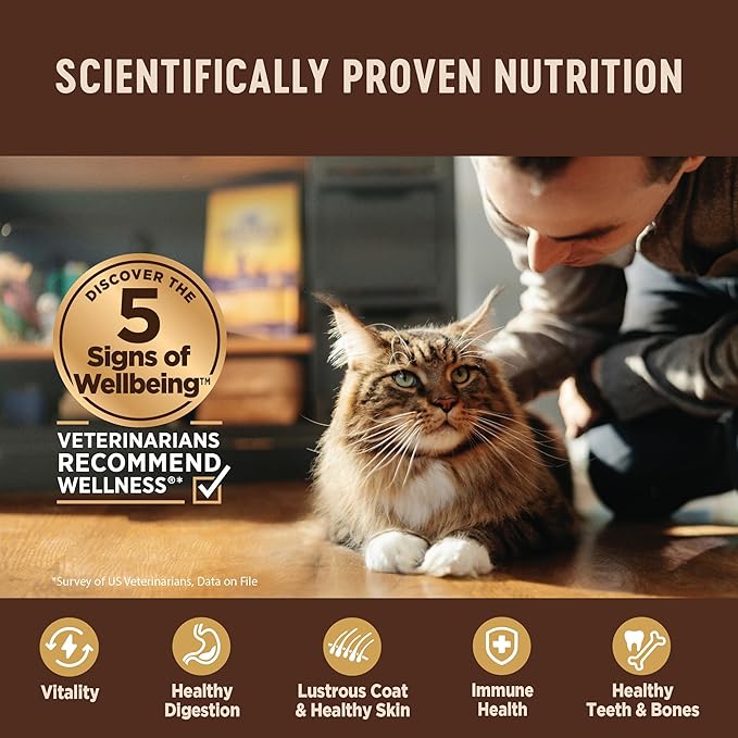 Wellness CORE Pate Kitten Wet Cat Food, Natural, Protein-Rich, Grain Free, 3 Ounce, 12 Pack (Turkey & Chicken Liver)