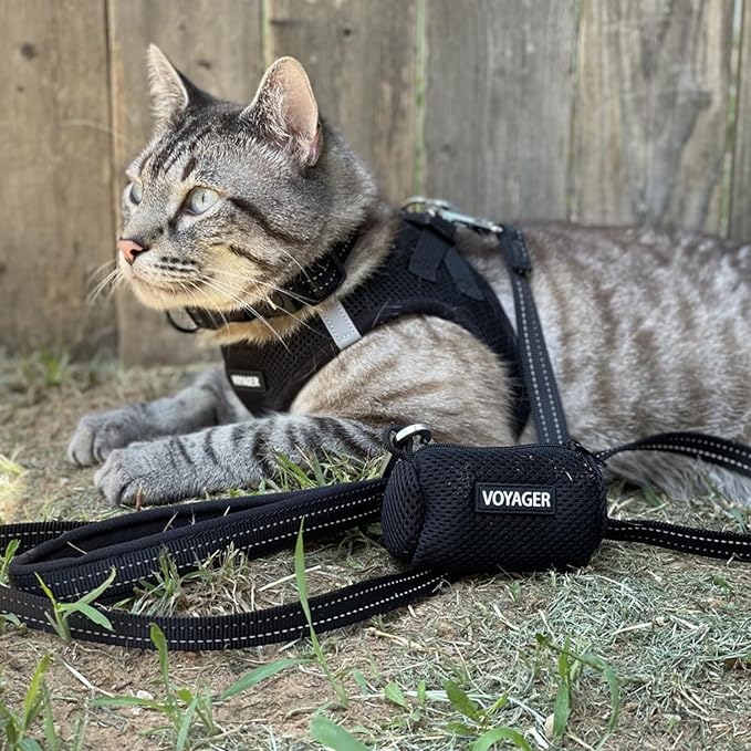 Best Pet Supplies Voyager Step-in Air Harness - All Weather Mesh, Reflective, No Pull Harness for Dogs, Cats - Secure with Hook & Loop Fastener, Buckle, Double D-Rings - Black, L