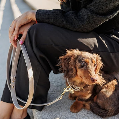 Nina Woof Rio Vegan Leather Dog Leash (4ft) Padded Luxury Lead - Compatible with Collars (Gold)