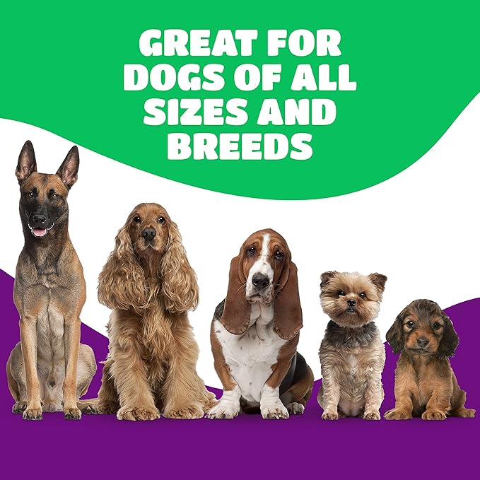 Lively Tails Dog Bones for Aggressive Chewers, Knee Caps for Dogs, Beef Bones for Large Dogs, Medium, and Small, Long Lasting Knee Bone for Dog, 10 Count