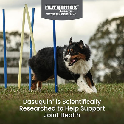 Nutramax Dasuquin for Large Dogs, Joint Health Supplement, Contains Glucosamine for Dogs, Plus Chondroitin, ASU, MSM and More, Supports Healthy Joints, Soft Chews, 42 Count