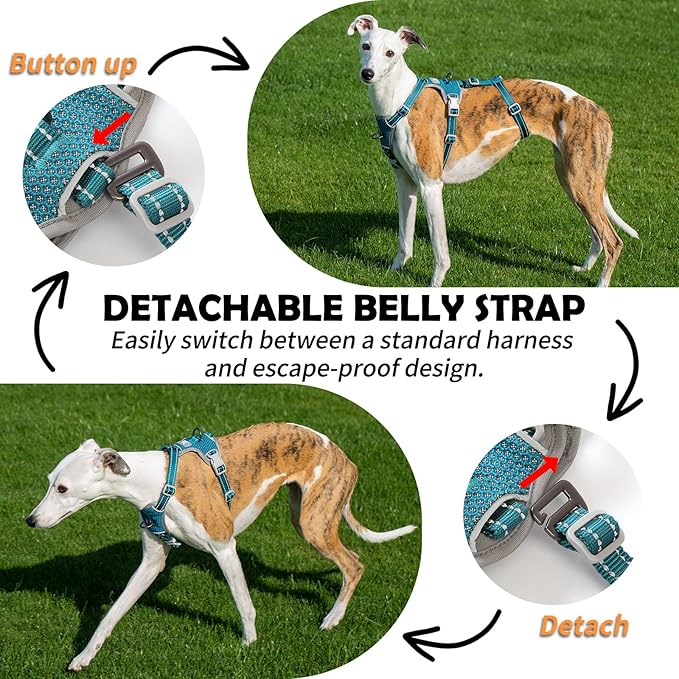 Huntboo Escape Proof Dog Harness – No Pull, No Slip, Fully Reflective, Adjustable 7-Point Design for Small, Medium, and Large Dogs – Lightweight for Outdoor Training & Hiking (Teal, L)