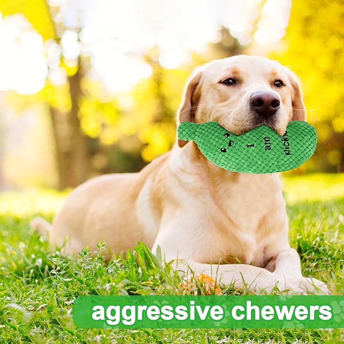 BABORUI Pickle Squeaky Dog Toy for Aggressive Chewers, Funny Plush Toy for Small/Medium/Large Dogs, Exercise and Accompany, GREEN