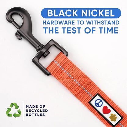 Pawtitas Coral Dog Leash 6 ft M/L Reflective Durable Lightweight Recycled Lead for Medium or Large Dogs and Puppies