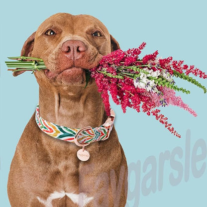 Faygarsle Multicolor Pattern Dog Collar for Small Medium Large Dogs Cute Puppy Collars for Female Dogs for Summer Spring Wedding Necklace Girl Dog Collar L
