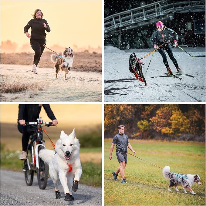 Non-stop dogwear Bungee Leash Elastic Dog Leash for Sports Like Running, Biking and Skiing with Dogs, Black/Orange, Size 2.0 m / 23 mm