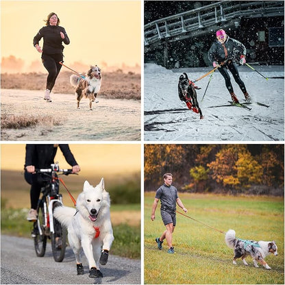 Non-stop dogwear Bungee Leash Elastic Dog Leash for Sports Like Running, Biking and Skiing with Dogs, Black/Orange, Size 2.8 m / 23 mm