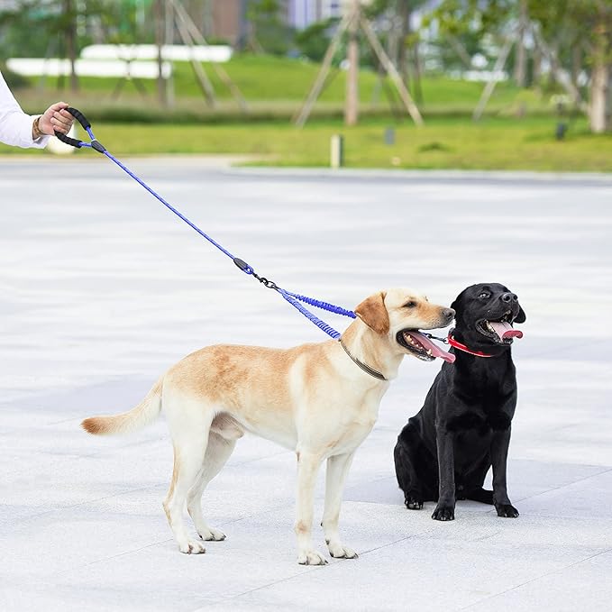iYoShop Dual Dog Leash - 360° Swivel, No Tangle Walking Leash with Shock Absorbing Bungee for Two Dogs (Large, 25-150 lbs, Royal Blue)