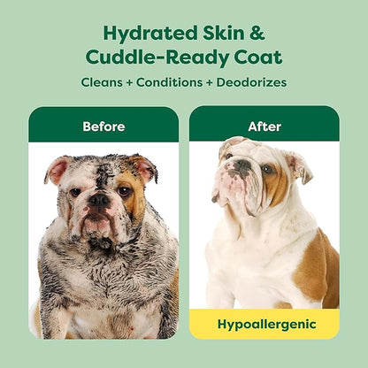 Earth Rated Hypoallergenic 3-in-1 Soothe Dog & Puppy Shampoo & Conditioner, Deodorize 98.5% Natural, 16 oz