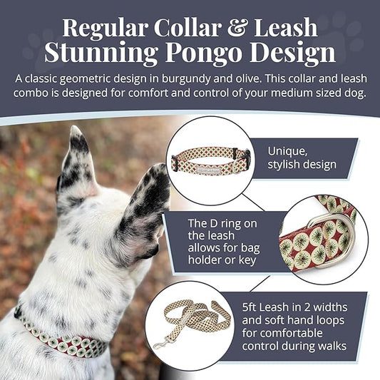 Lucky Love Dog - Easy Click Buckle Dog Collar with Leash Set Combo, Durable & Comfortable for Male & Female Dogs, Pet Collar for Large Dogs, Secure Fit - Pongo Combo, Large