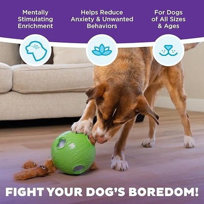 Outward Hound by Nina Ottosson Dog Snuffle N' Treat Ball Puzzle, Level 2 Intermediate, Green, Large