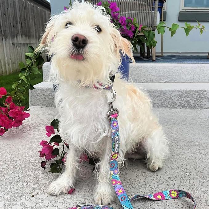 Lucky Love Dog Leash, Beautiful Flower Pattern Female Dog Leash for Large Dogs, Durable & Long Lasting, Caroline, Small