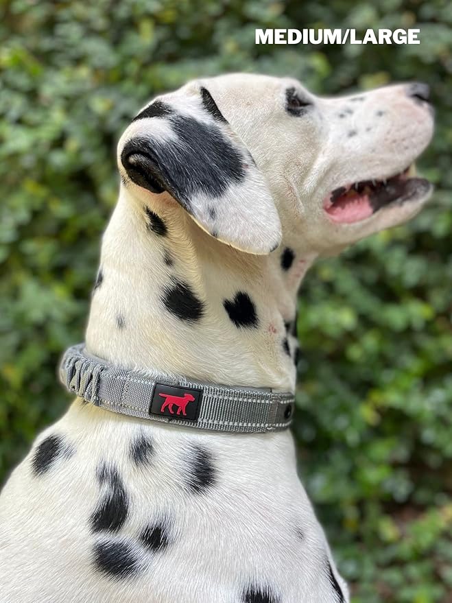 Tuff Pupper Heavy Duty Dog Collar with Handle | Ballistic Nylon Heavy Duty Collar | Padded Reflective Dog Collar with Adjustable Stainless Steel Hardware | Convenient Sizing for All Breeds