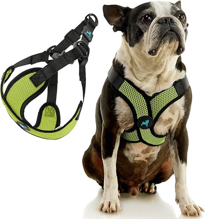 Gooby Comfort X Step in Lite Dog Harness - Choke Free, Escape Free with Light Breathable Mesh - Step in Dog Harness for Small Dogs Only - Quick Release Buckle, Metal D-Rings - Green, Large