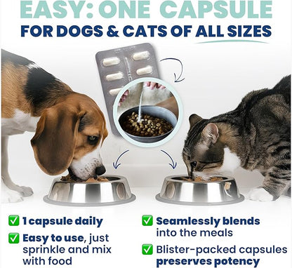 Jope Synbiotic GB-01® - Prebiotics and Probiotics for Dogs & Cats - Clinically Proven Formula - Vet Formulated for Gut Health, Stool Quality, Diarrhea, Immunity, Skin & Coat - 30 Gut Powder Capsules