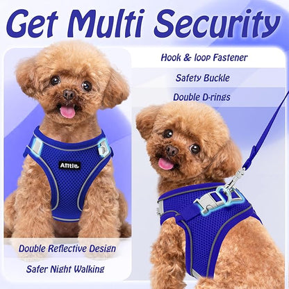 AIITLE Step in Dog Harness and Leash Set - No Pull Escape Proof Vest Harnesses with Soft Mesh and Reflective Bands, Adjustable Pet Outdoor Harnesses for Small and Medium Dogs Royal Blue M