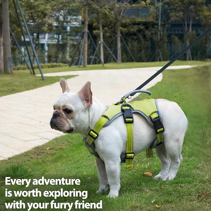 Huntboo Escape Proof Dog Harness, Escape Artist Harness, Reflective Dog Harness with Handle, Durable,Adjustable Vest for Small Medium Large Dogs Walking, Training,and Running Gear(Green,XL)