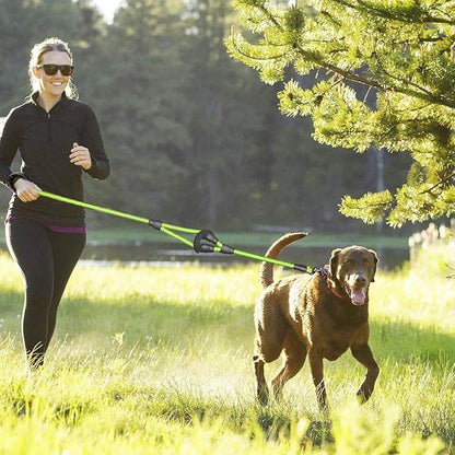 JSXD Heavy Duty Double Handle Dog Leash - 5 FT with Comfortable Padded and Reflective Rope for Small, Medium, Large Dogs (Rope-Green)