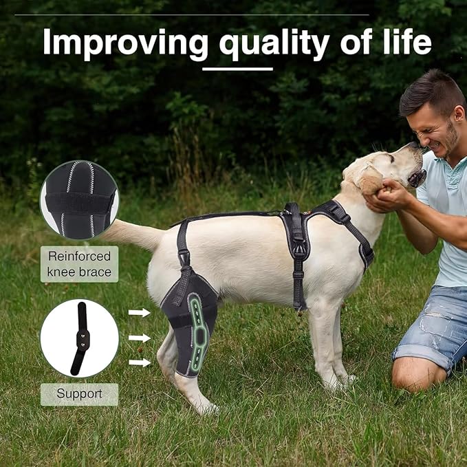 Dog Knee Brace for ACL/CCL Injuries,Torn Ligament,Luxating Patella - Rear Leg Support,Pain Relief,Joint Warmth,Black,Right Legs,Size:Customized
