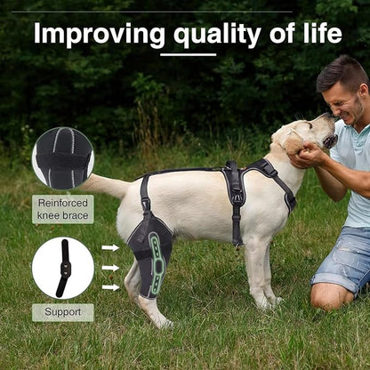 Dog Knee Brace for ACL/CCL Injuries,Torn Ligament,Luxating Patella - Rear Leg Support,Pain Relief,Joint Warmth,Black,Right Legs,Size:Customized