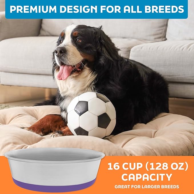 Master Pet Supply Stainless Steel Dog Bowls Set of 2 with Extra Thick Silicone Base - 16 Cup (128 oz) Plum Crazy, Non-Slip, Dishwasher Safe Metal Bowls, Pet Dog Food Bowl for Dogs, Cats, Anti Rust