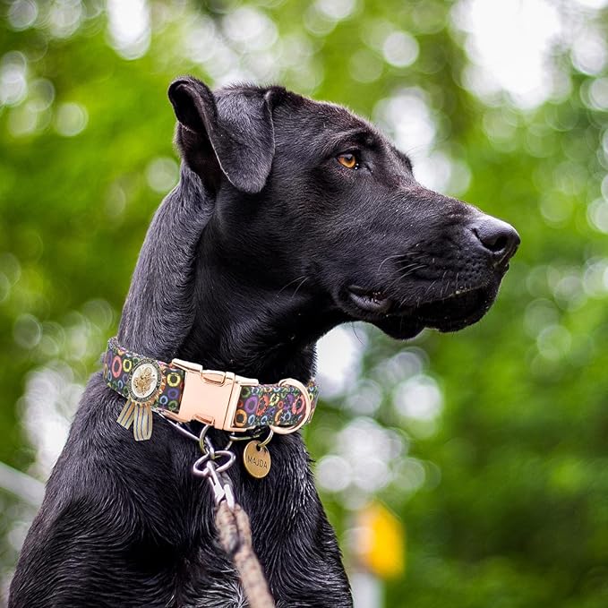 Metal Buckle Dog Collar with Dedals, 3-Size Comfortable Adjustable Cotton Dog Collar for Small, Medium, Large Male Female Dogs (Circle, L(15-23in))