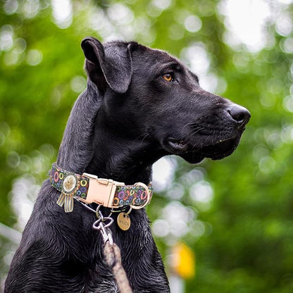 Metal Buckle Dog Collar with Dedals, 3-Size Comfortable Adjustable Cotton Dog Collar for Small, Medium, Large Male Female Dogs (Circle, L(15-23in))