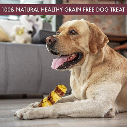Wild Eats Water Buffalo Retriever 9 Inch Cheek Roll Dog Chews - 3 Pack (Healthy Alternative for Beef Rawhide for Dogs, Natural Treat, Single Source Protein Dog Treat)
