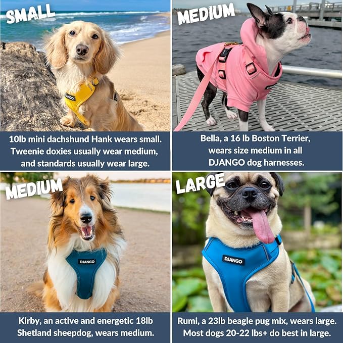 DJANGO Adventure Dog Harness - Stylish, and Durable Small Dog Harness for Outdoor Adventures and Everyday Wear - Quartz Pink Neoprene Adjustable Harness for Dogs with Reflective Piping, Brass D-Ring