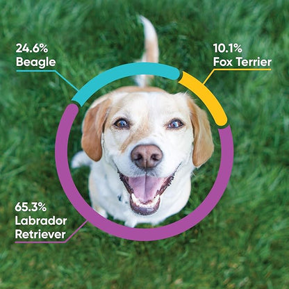 Embark Breed & Health Kit (2 Pack) - Dog DNA Test - Discover Breed, Ancestry, Relative Finder, Genetic Health, Traits, COI