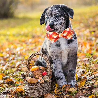 ARING PET Fall Dog Collar with Bow, Halloween Orange Grid Cute Pet Collars with Quick Release Buckle for Puppy Small Medium Large Girl Boy Dogs-XS