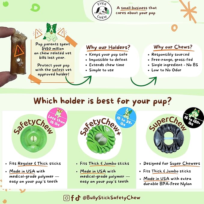 EverChew | Made in USA Bully Stick Holders & Premium All-Natural Bully Stick Starter Packs (SafetyChew & 1 Regular 6" Stick | <16 lbs)