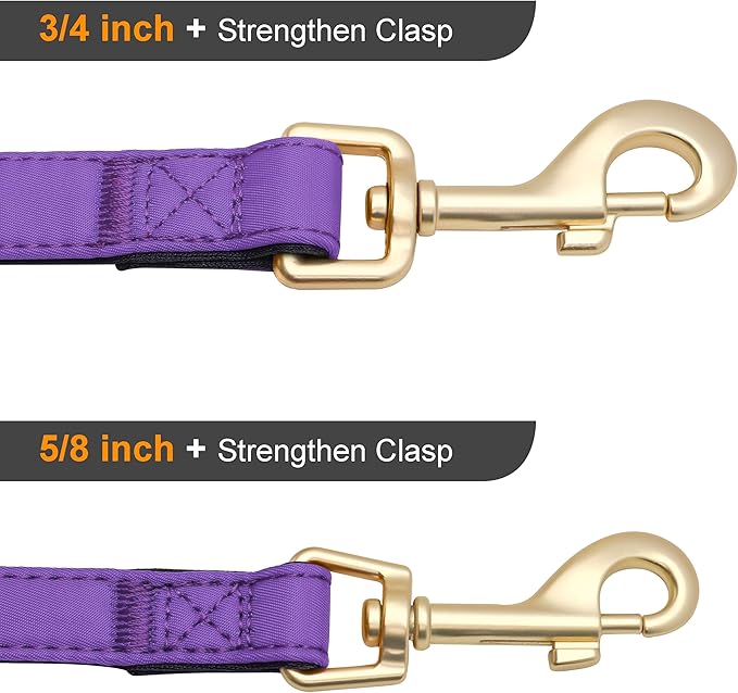 Didog 5FT Colorful Nylon Dog Leash with Soft Full-Length Padding, Lightweight and Durable Pet Leash for Medium and Large Dogs, Purple, M
