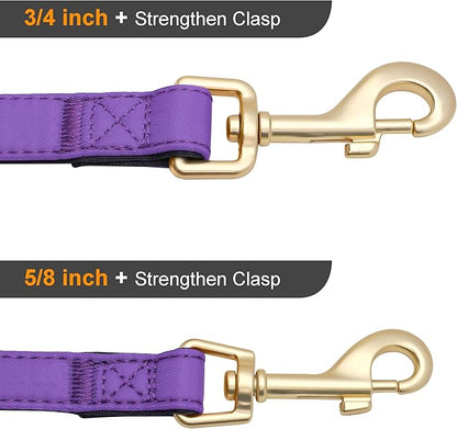 Didog 5FT Colorful Nylon Dog Leash with Soft Full-Length Padding, Lightweight and Durable Pet Leash for Small Dogs, Purple, S