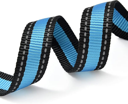 Mile High Life Dog Collar | Nylon Reflective Dog Collars | Light Weight Puppy Collars | Blue Dog Collars for Large Dogs (Blue, Large)
