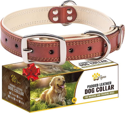ADITYNA Heavy-Duty Big Leather Dog Collar for Extra-Large Dogs - Soft Padded for Comfort - XL Dog Collar for Walking, Training, and Hiking